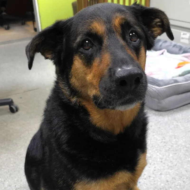 Guinness thumbnail 4