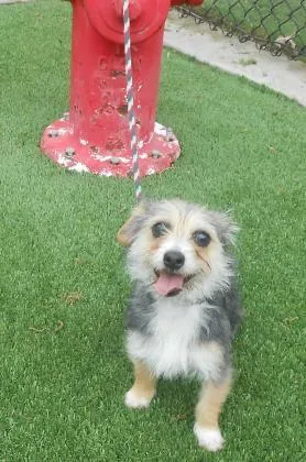 Milly