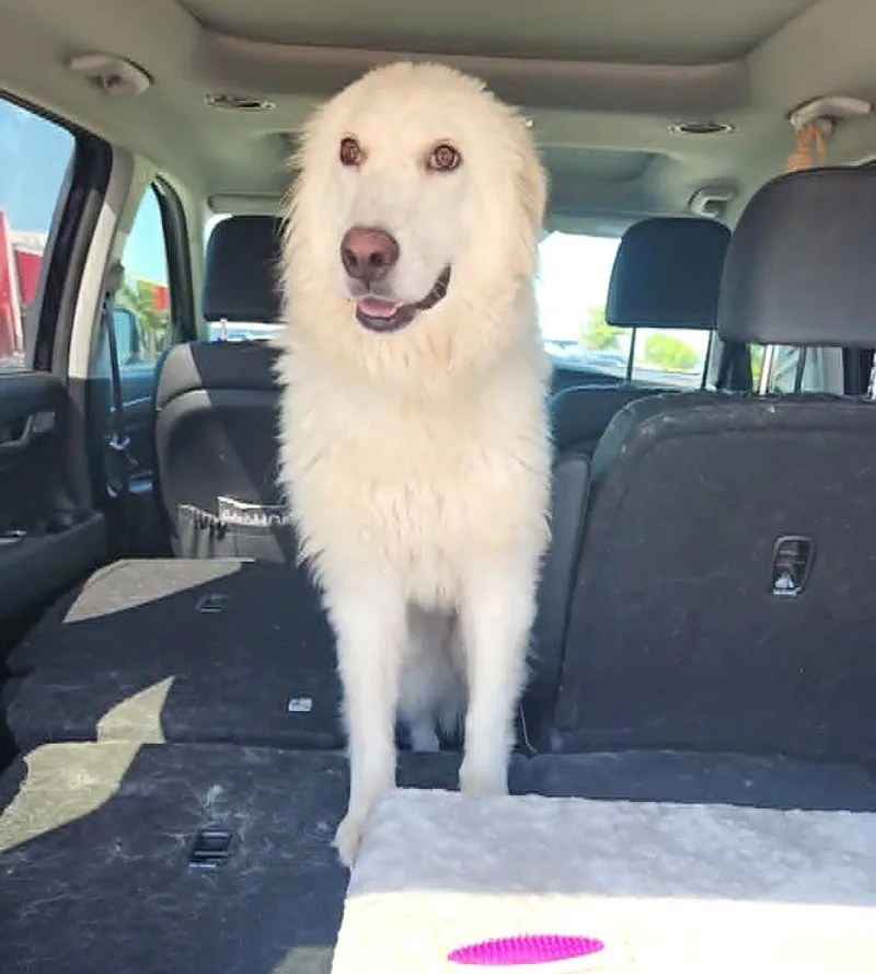 Charlie Sat thumbnail 2
