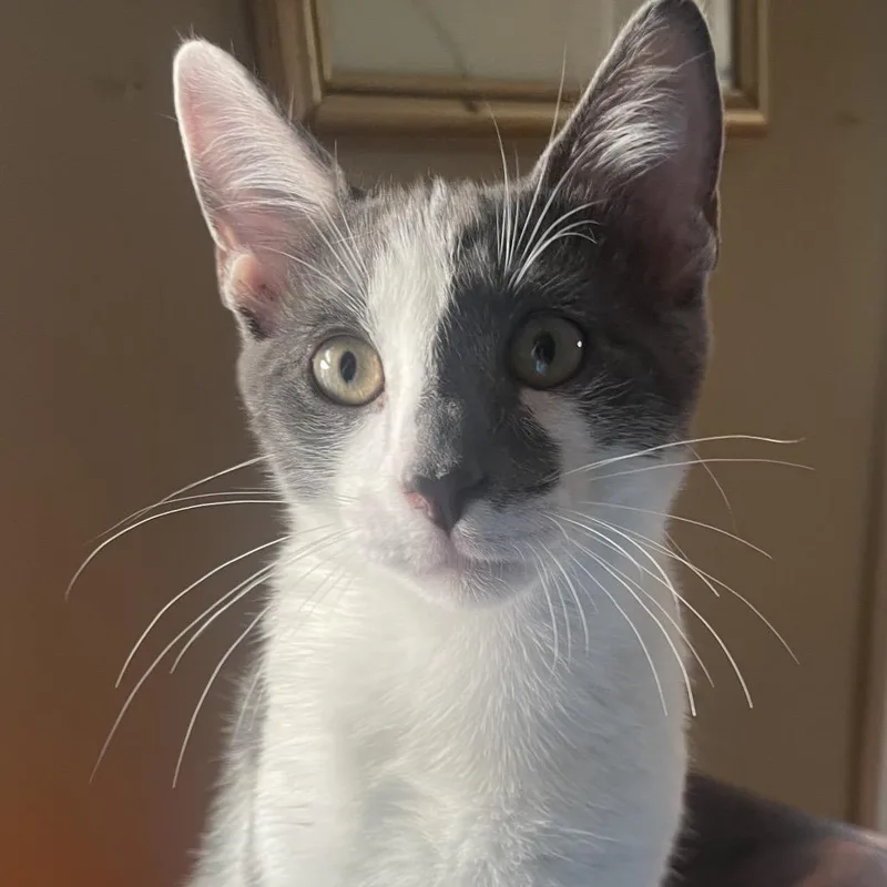 Princeton thumbnail 2