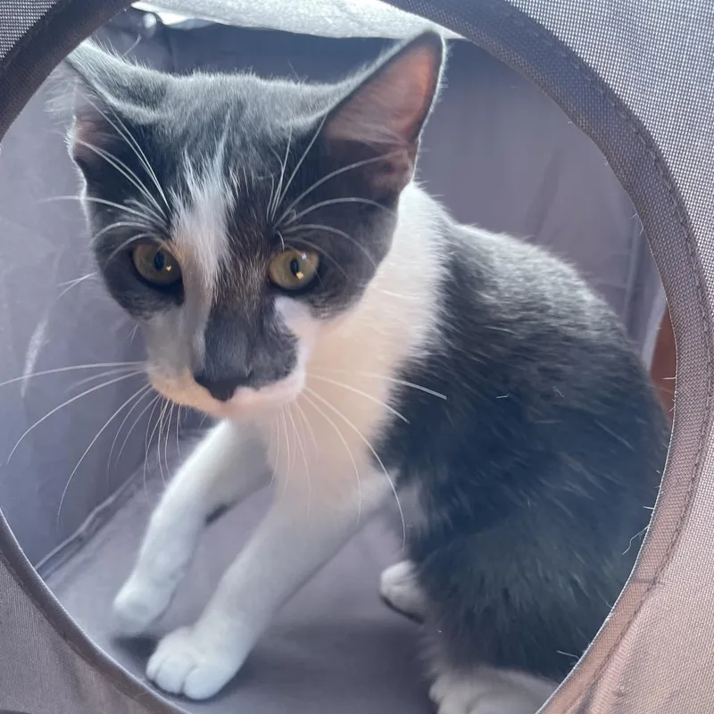 Princeton thumbnail 3