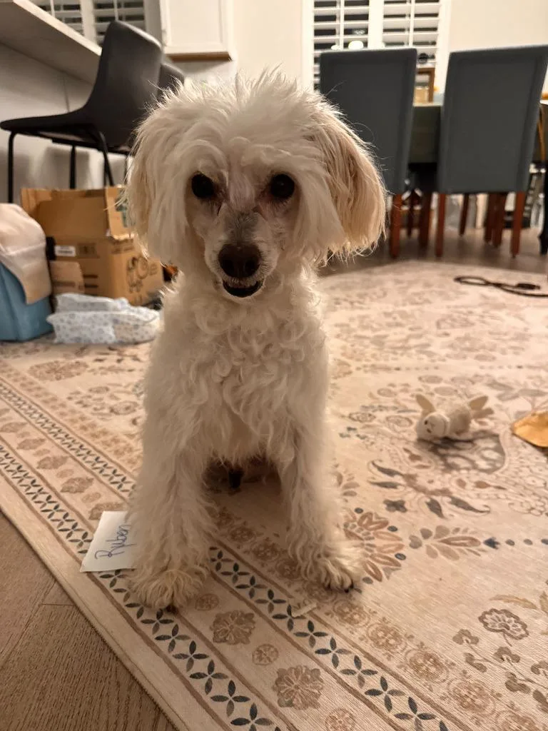 Ruben Humphrey thumbnail 2