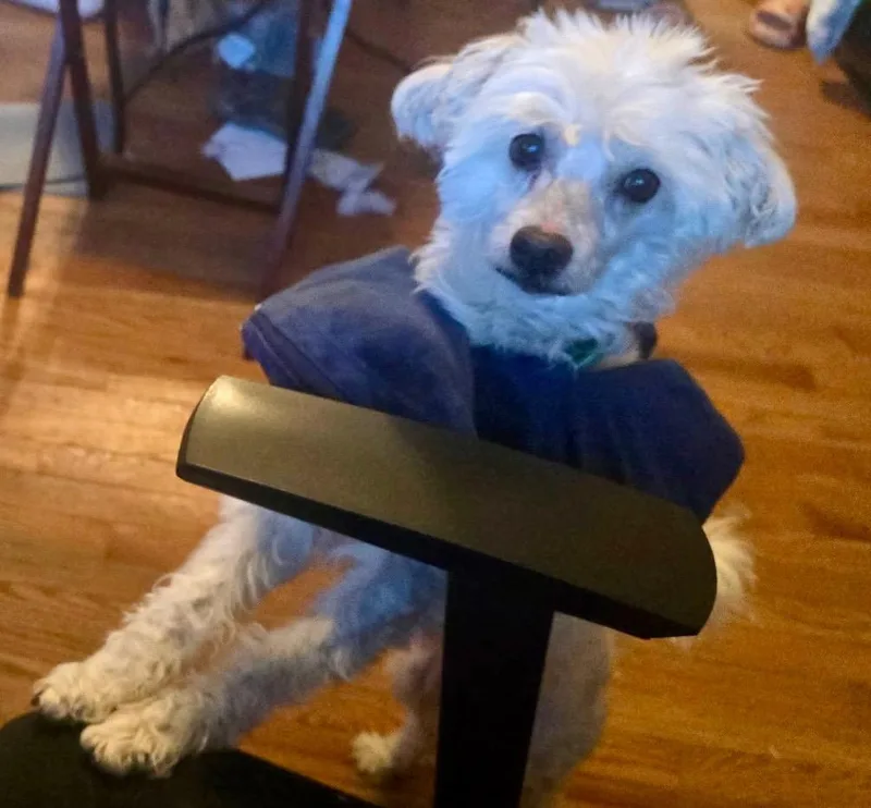 Ruben Humphrey thumbnail 3