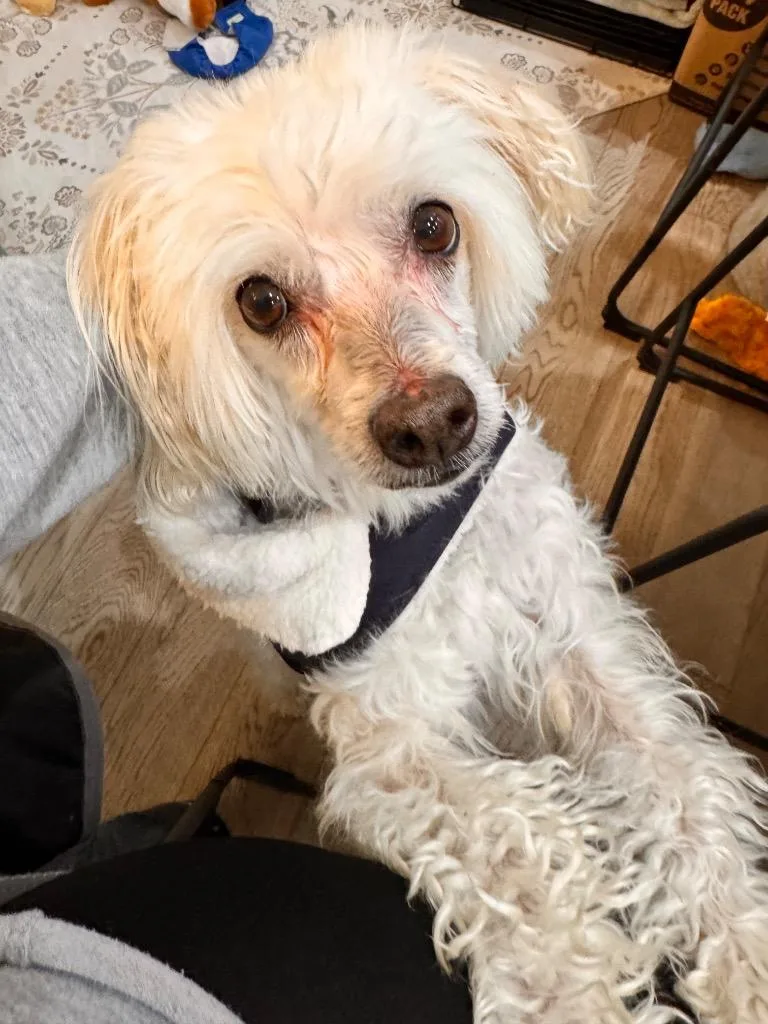 Ruben Humphrey thumbnail 4