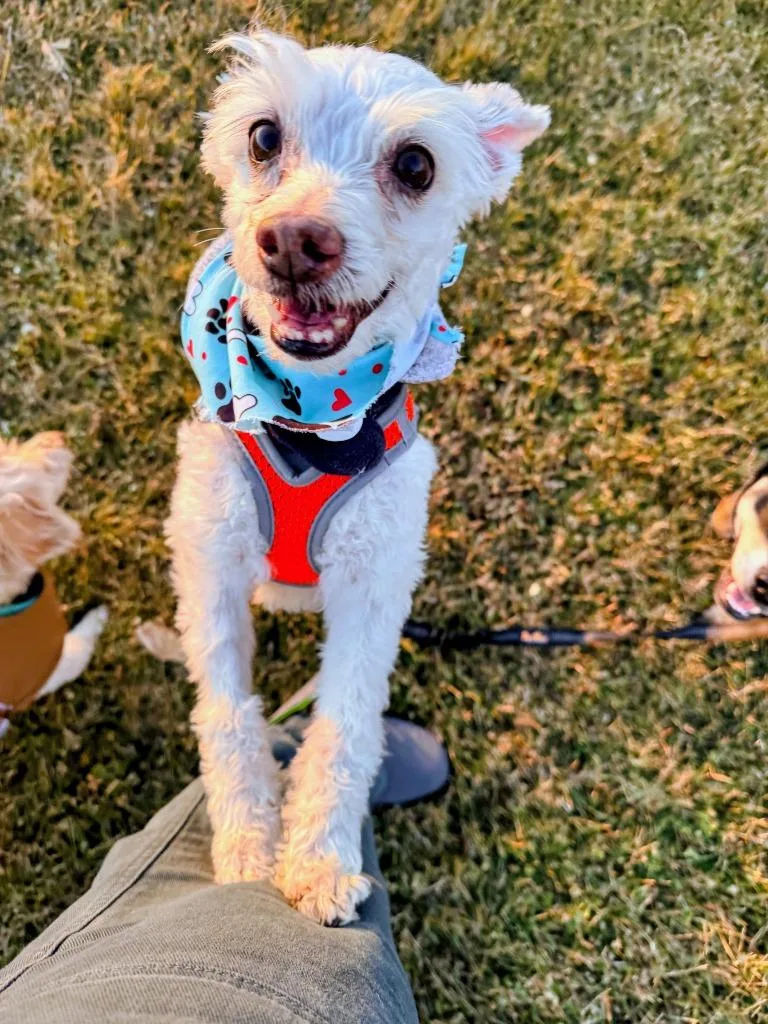 Ruben Humphrey thumbnail 5