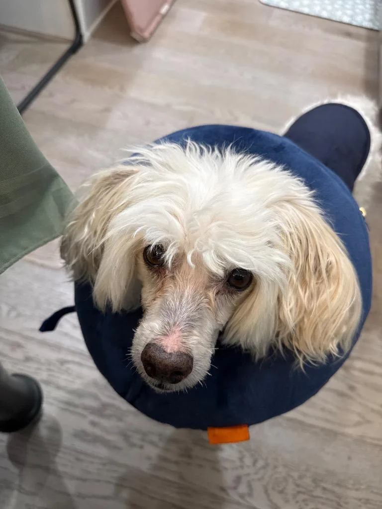 Ruben Humphrey thumbnail 6