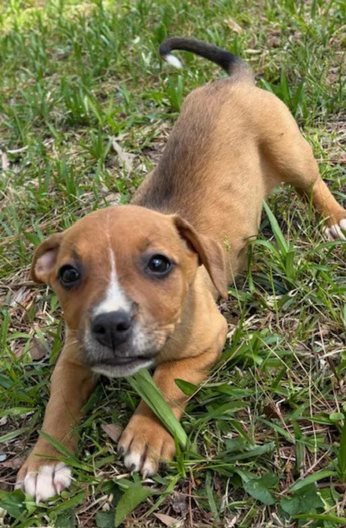 Meredith thumbnail 2