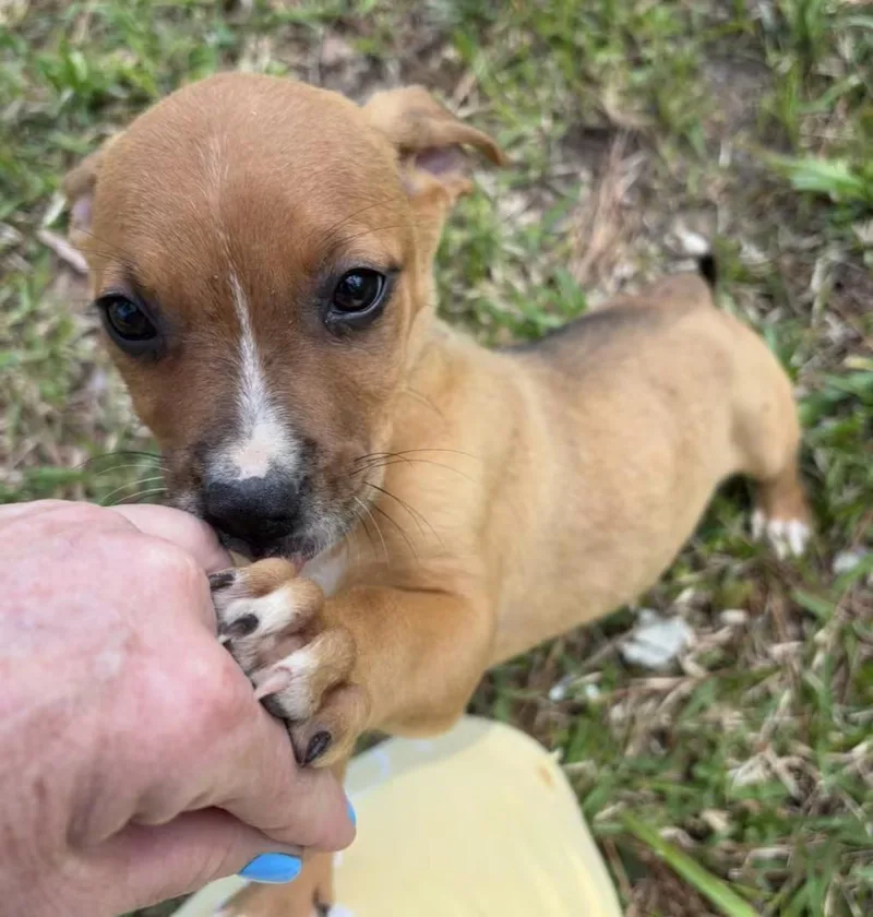 Meredith thumbnail 3