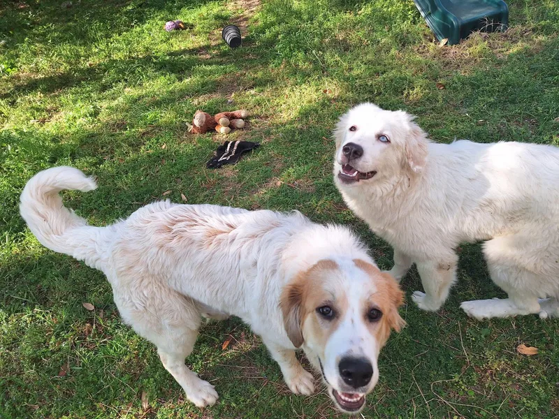 Edith And Ivory thumbnail 5