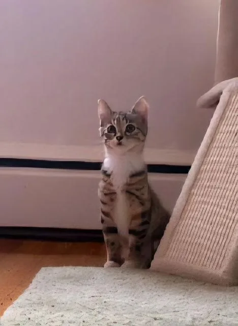 Charlotte thumbnail 3