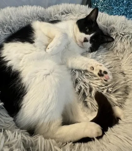 Grace Love thumbnail 2