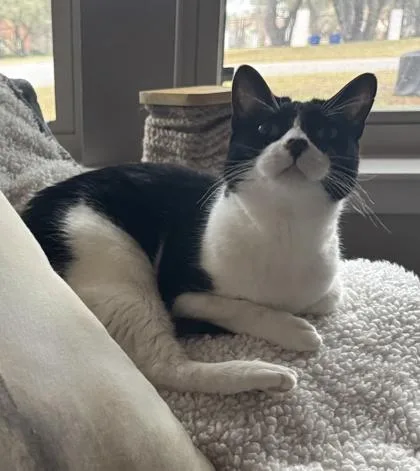 Grace Love thumbnail 3