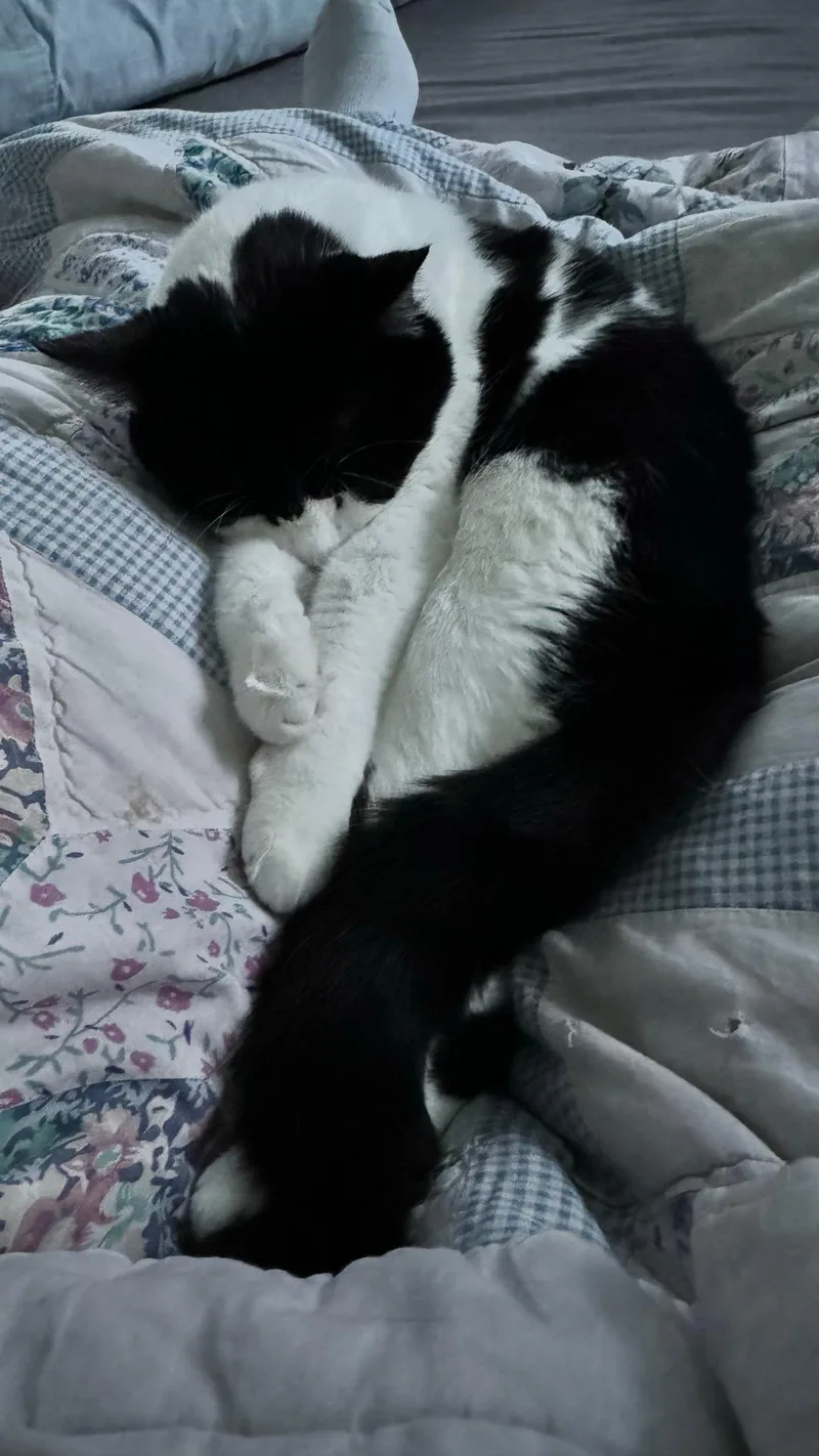 Rigatoni & Bucatini Bonded