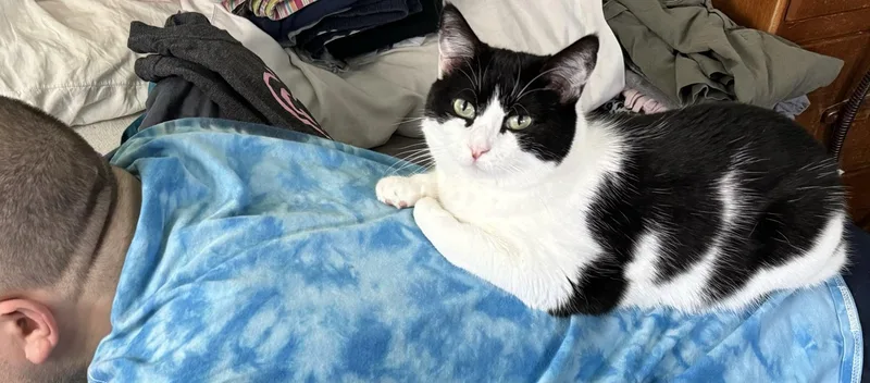 Rigatoni & Bucatini Bonded thumbnail 2