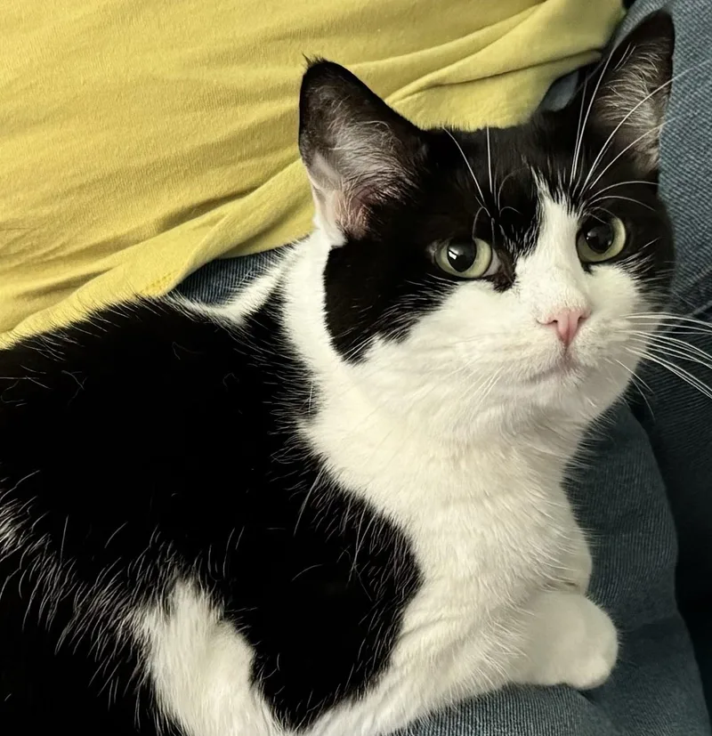 Rigatoni & Bucatini Bonded thumbnail 3