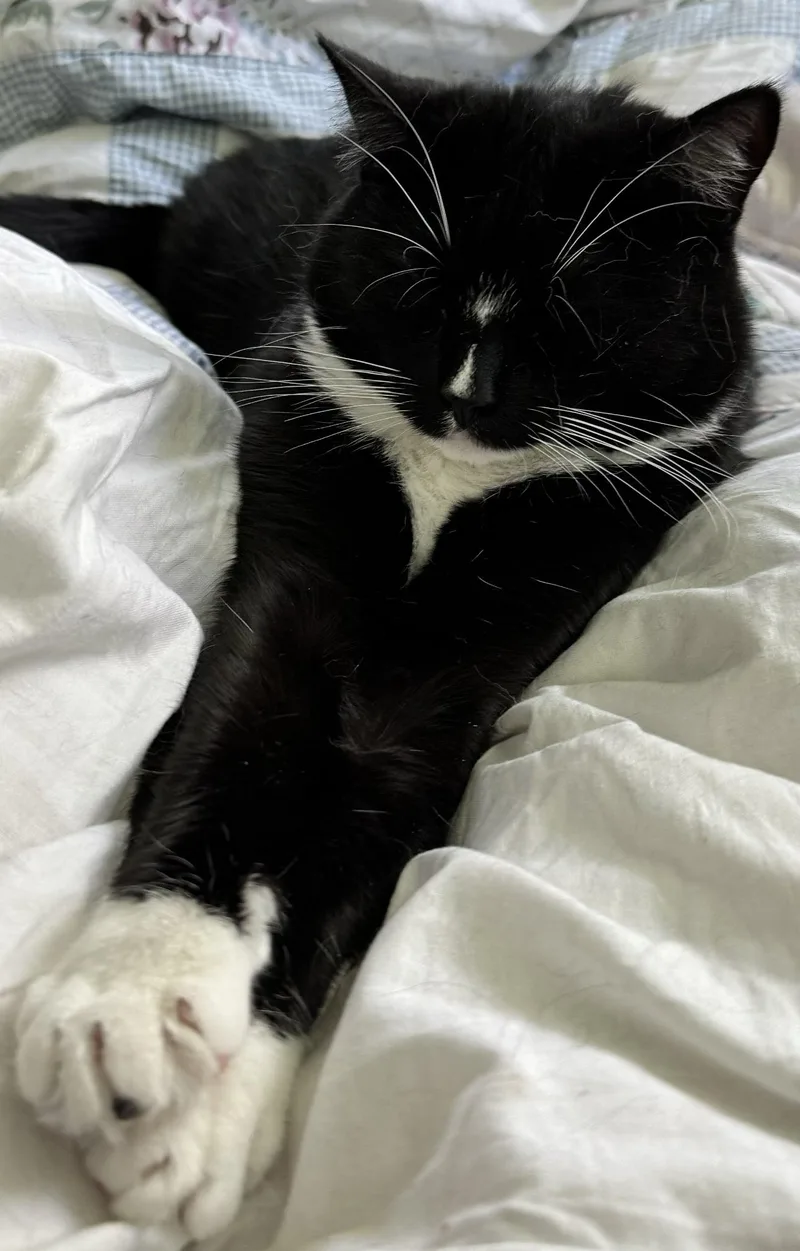 Rigatoni & Bucatini Bonded thumbnail 5