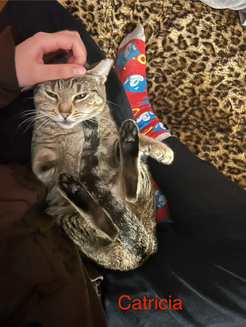 Catricia thumbnail 5