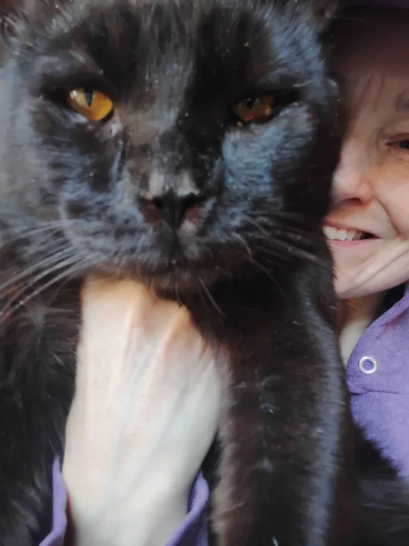 Big Daddy Blackberry