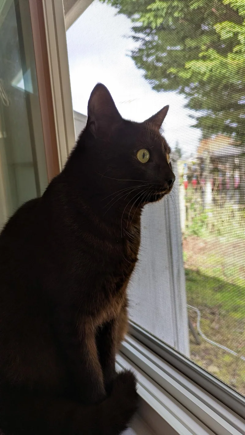 Lupe & Lynwood thumbnail 2