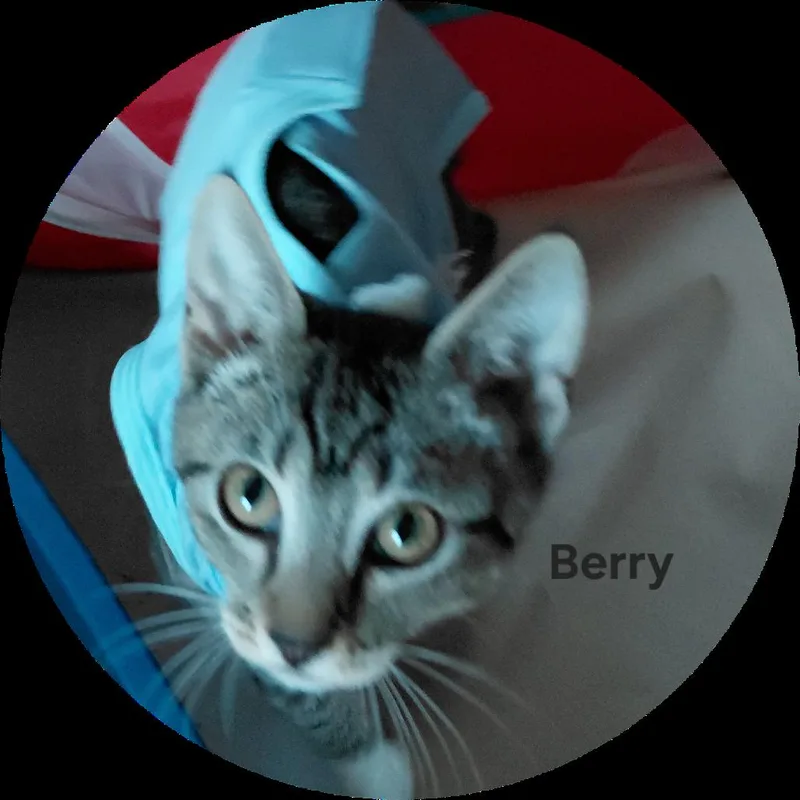 Berry thumbnail 5