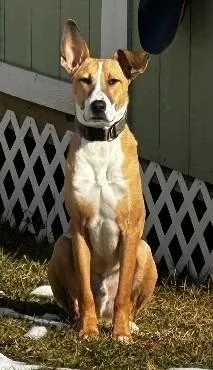 Justice Lee thumbnail 3