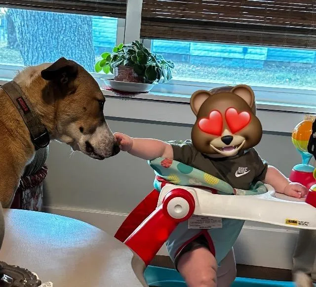 Justice Lee thumbnail 4