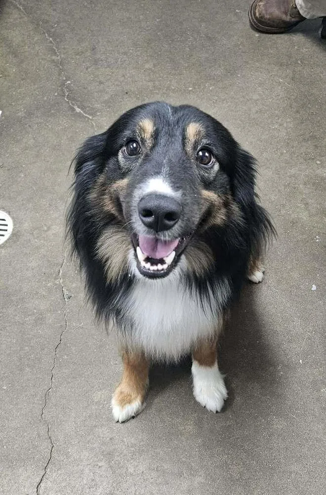 Rocky