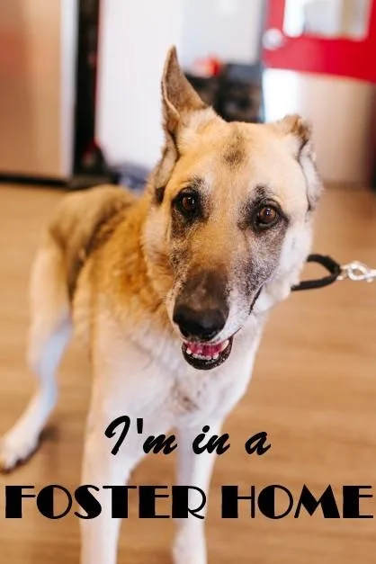 Bismarck thumbnail 2