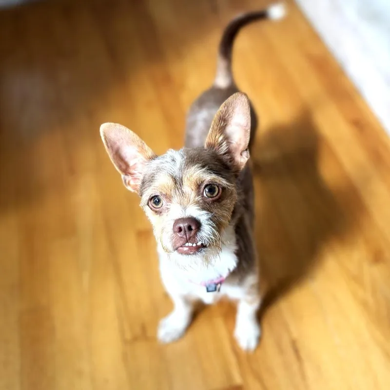 Tucker