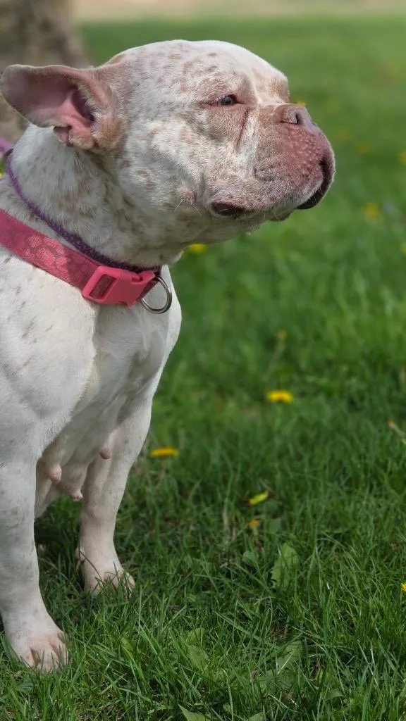 Karma Ann thumbnail 2