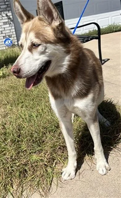 Max