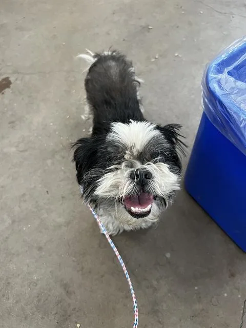 Max