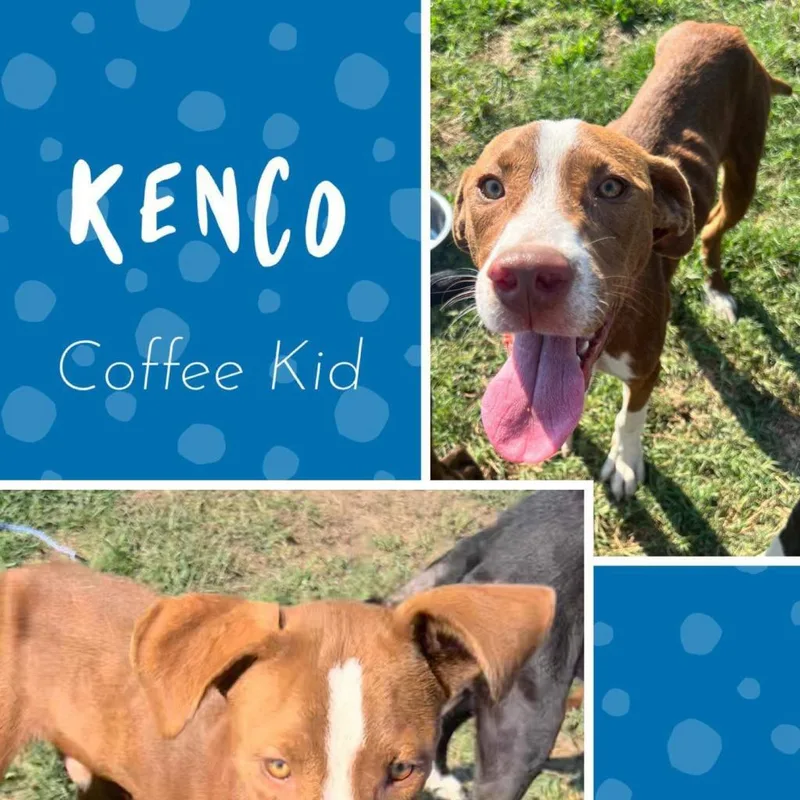 Kenco