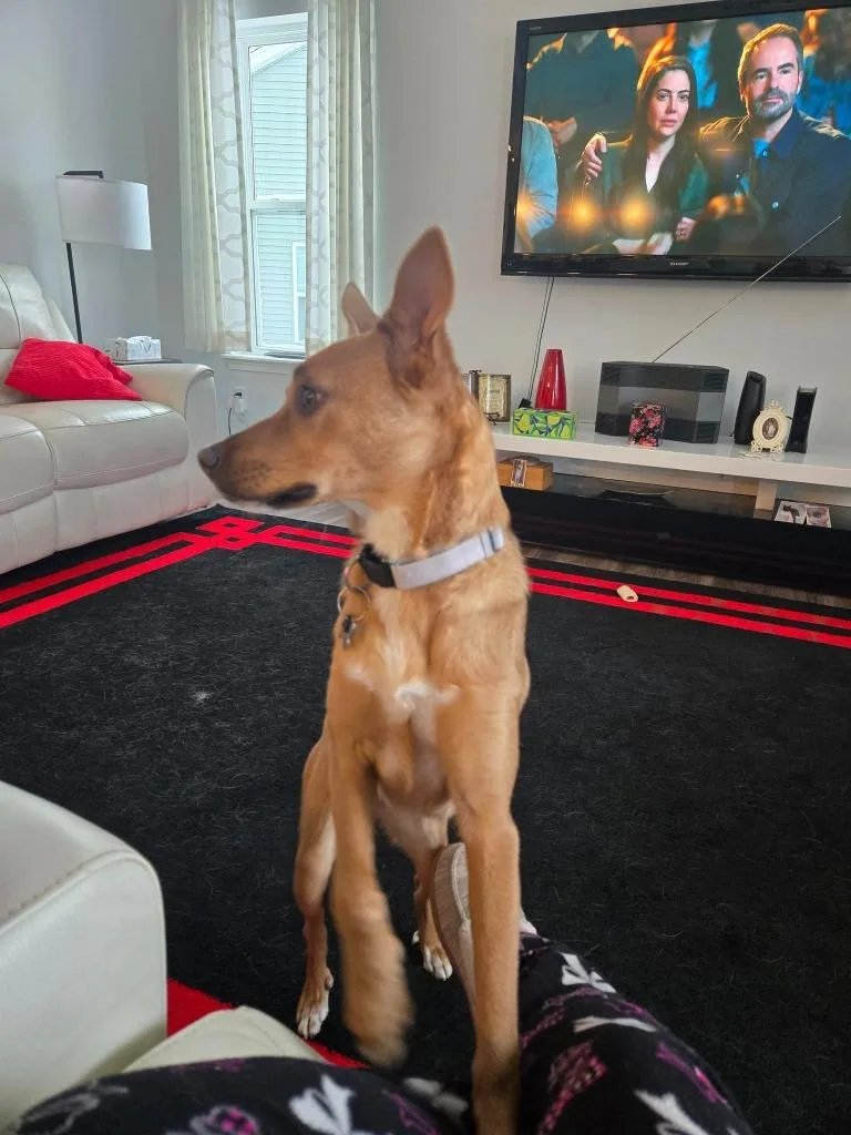 Gabriella thumbnail 2