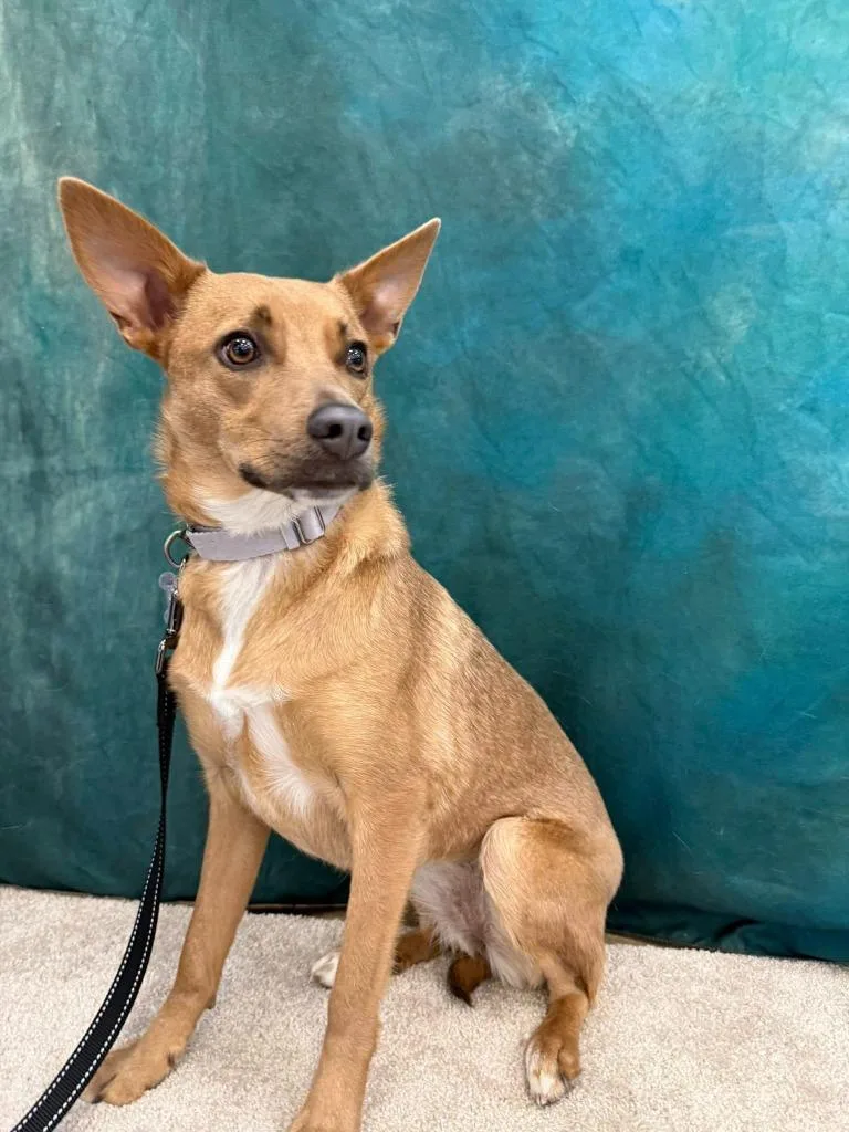 Gabriella thumbnail 3