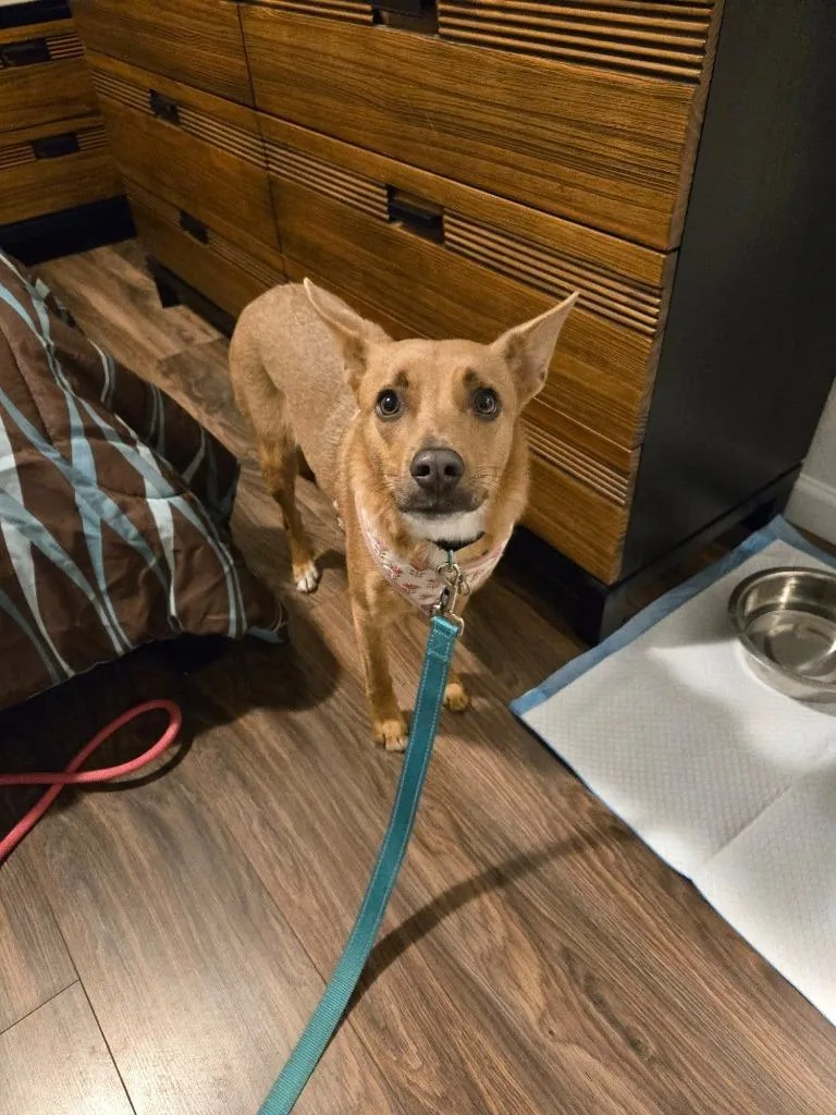 Gabriella thumbnail 4