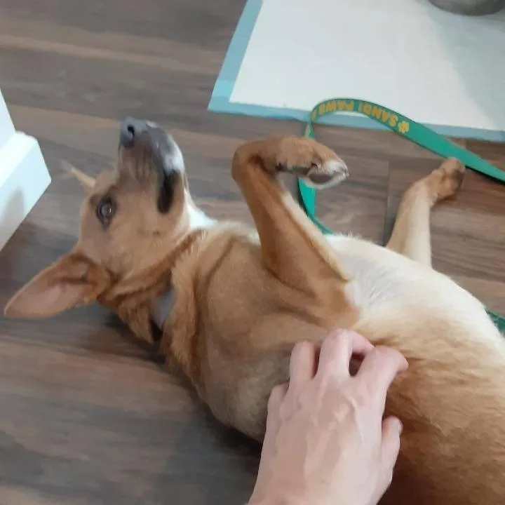 Gabriella thumbnail 5