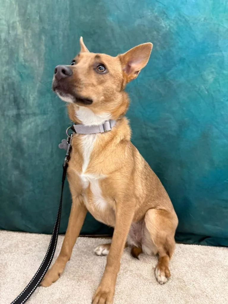 Gabriella thumbnail 6