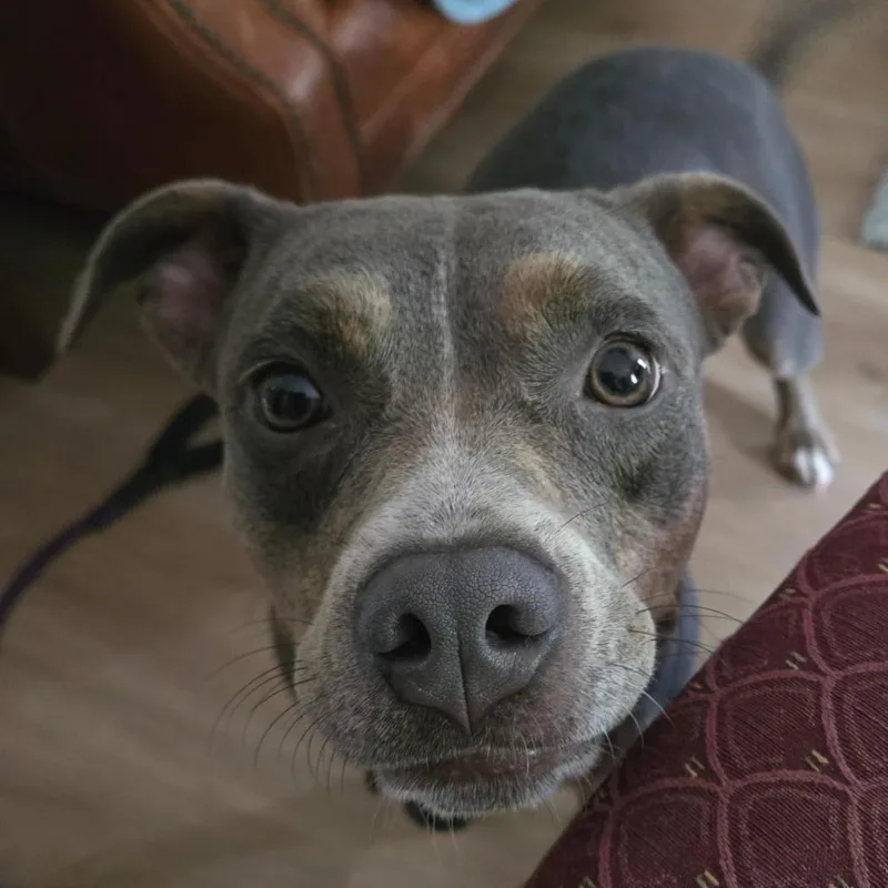 Zoe