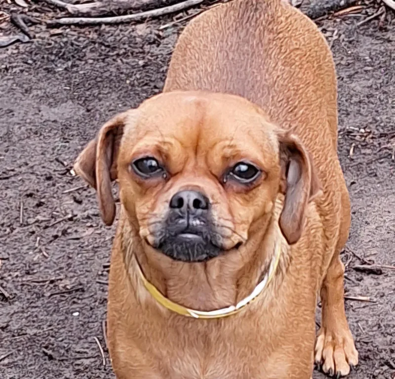 Travia Wvt thumbnail 2