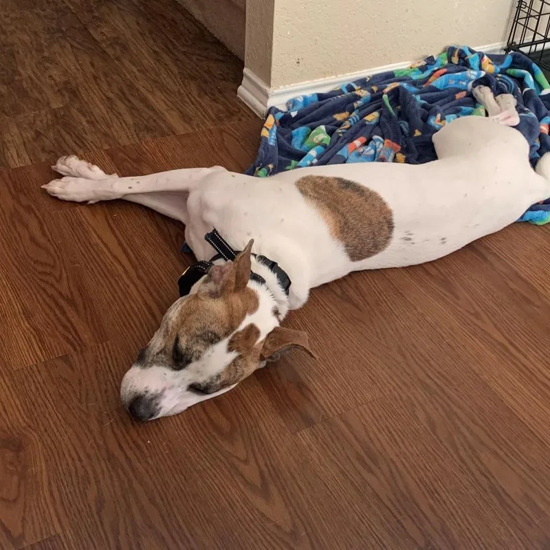 Lenny Nn thumbnail 2