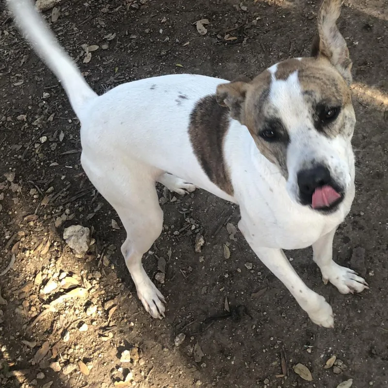 Lenny Nn thumbnail 3