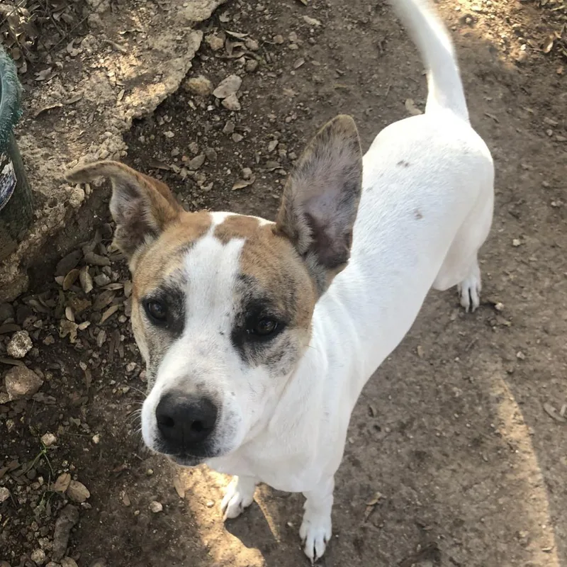 Lenny Nn thumbnail 4