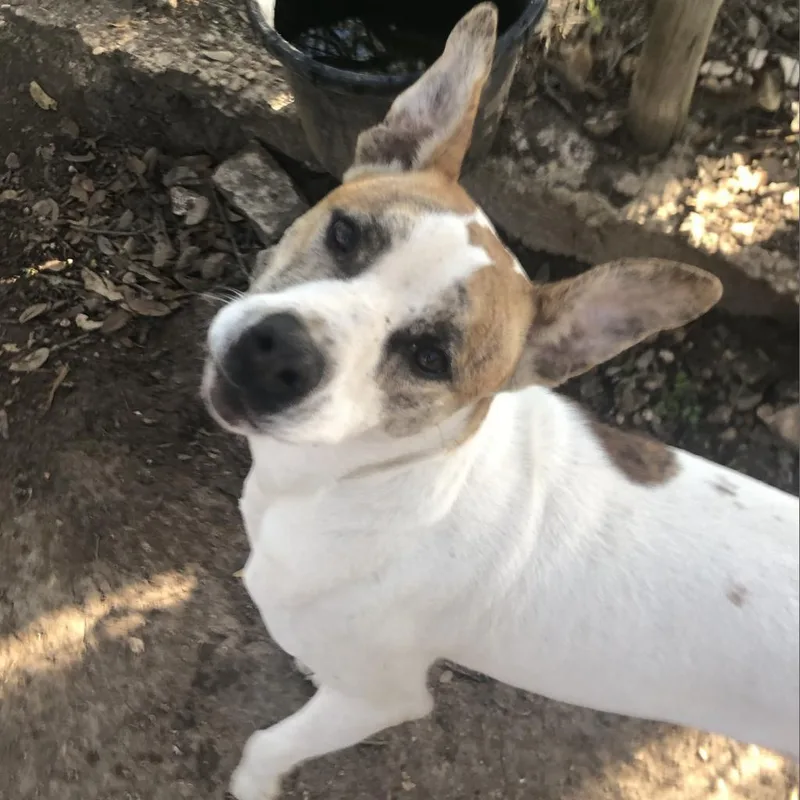 Lenny Nn thumbnail 5