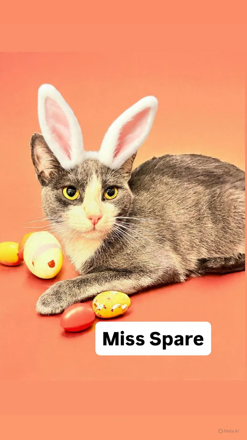 Miss Spare At Martinez thumbnail 2