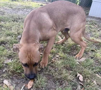 Sand Castle thumbnail 2