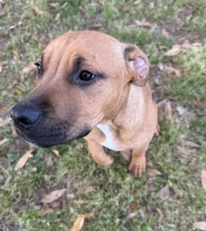 Sand Castle thumbnail 3