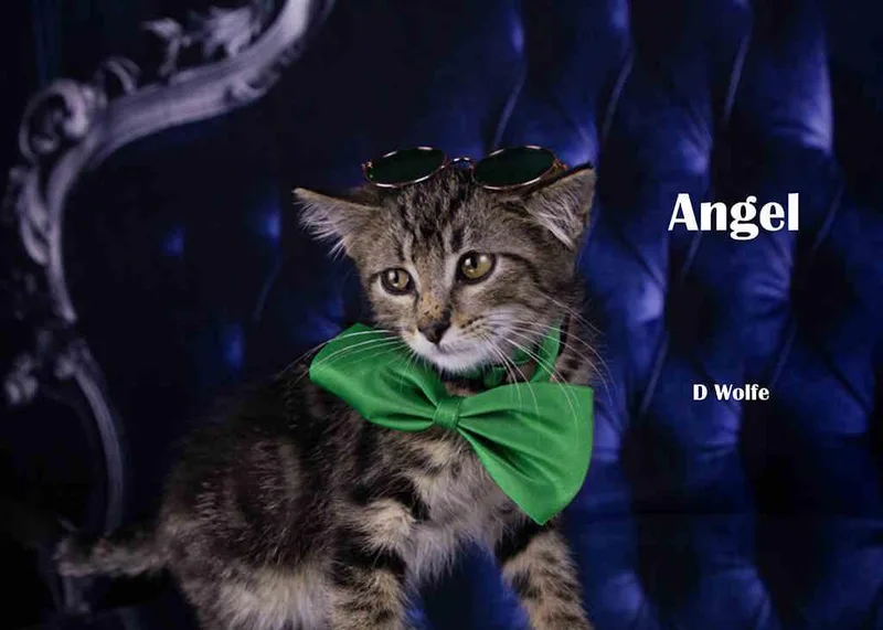 Angel thumbnail 3