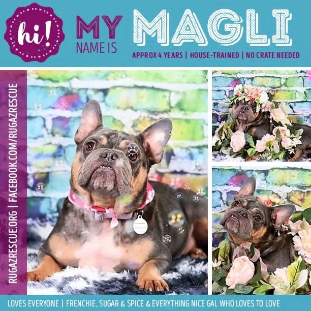 Magli thumbnail 2