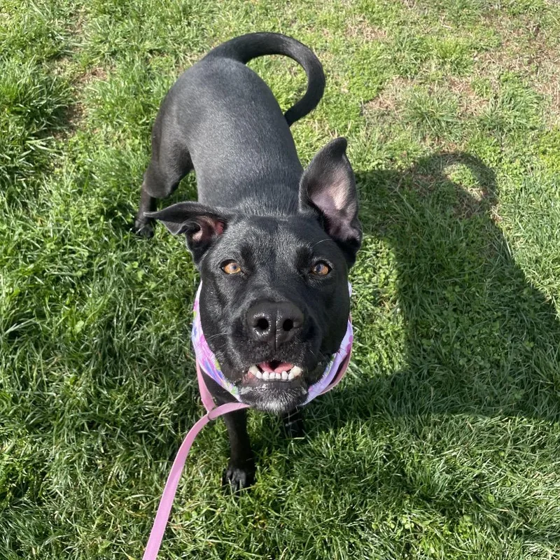 Hazel May thumbnail 4